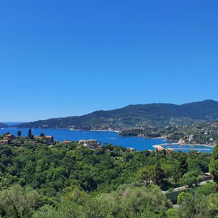 Villa Joana Zoagli Dış mekan fotoğraf