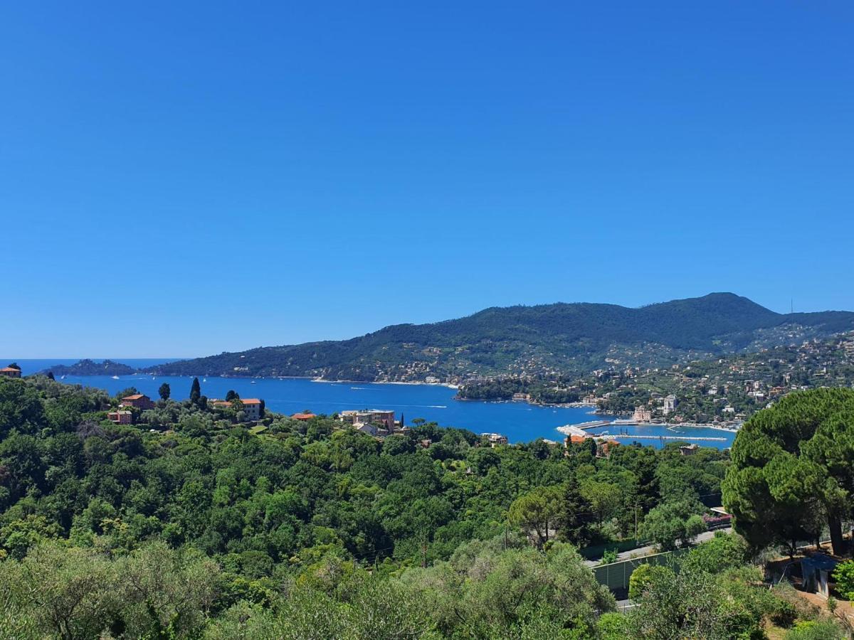 Villa Joana Zoagli Dış mekan fotoğraf
